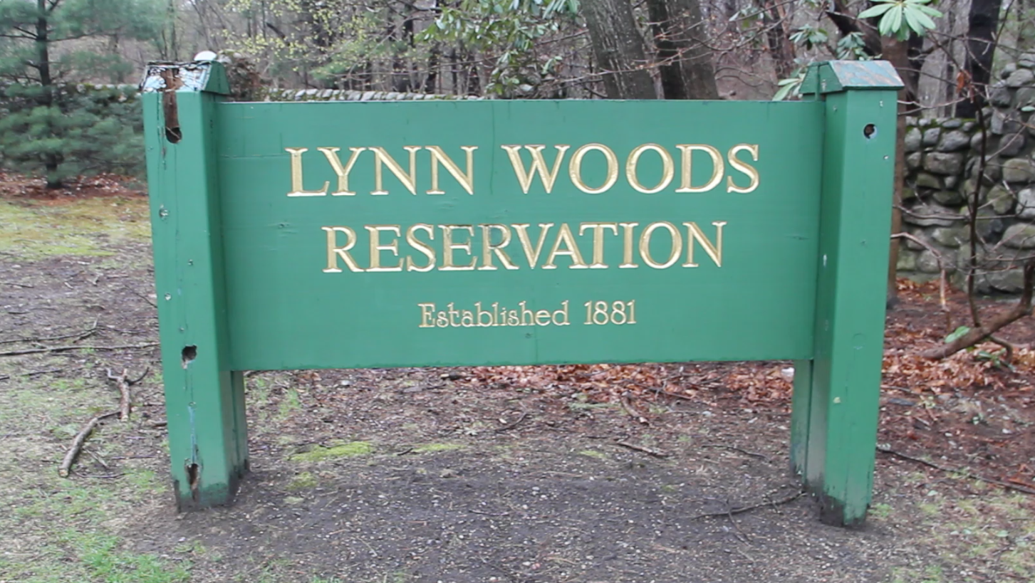 Lynn Woods Reservation